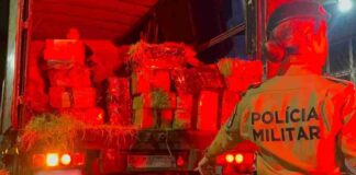 Mais de 4,5 toneladas de maconha que saíram da fronteira seriam levadas para São Paulo após grande apreensão na BR-277