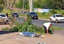 Motociclista morre após perder o controle e bater contra árvore em Santa Helena