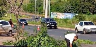 Motociclista morre após perder o controle e bater contra árvore em Santa Helena
