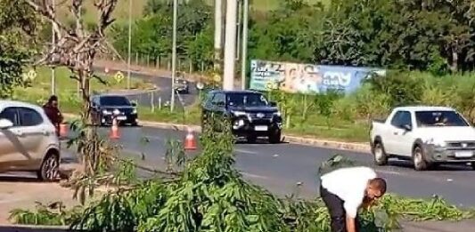 Motociclista morre após perder o controle e bater contra árvore em Santa Helena