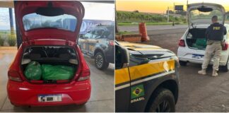 Motoristas de aplicativo são presos com mais de 120 kg de drogas em rodovias do Paraná