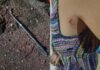 Mulher é agredida com barra de ferro durante evento em Palotina
