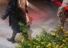 Mulher procurada por tráfico de drogas é presa pela ROTAM em Toledo
