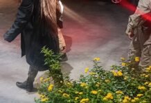 Mulher procurada por tráfico de drogas é presa pela ROTAM em Toledo