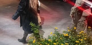 Mulher procurada por tráfico de drogas é presa pela ROTAM em Toledo