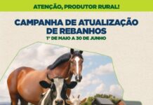 Nova Santa Rosa reforça importância da atualização obrigatória dos rebanhos até 30 de junho