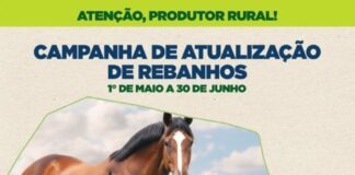 Nova Santa Rosa reforça importância da atualização obrigatória dos rebanhos até 30 de junho