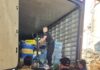 PF em Guaíra, promove a destruição de cerca de 10 toneladas de drogas na 2º Ação de Incineração do ano de 2026