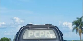 PM apreende drogas, dinheiro e planta de Cannabis na zona rural no interior do Paraná