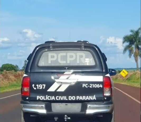 PM apreende drogas, dinheiro e planta de Cannabis na zona rural no interior do Paraná