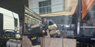 PRF flagra carreta do tráfico com mais de 2,3 toneladas de maconha em Laranjeiras do Sul