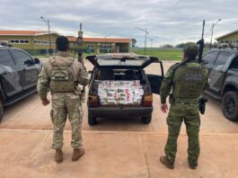 Polícia Federal e BPFRON apreendem cigarros contrabandeados em Terra Roxa