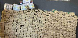 Polícia Militar apreende quase meia tonelada de drogas em residência na região