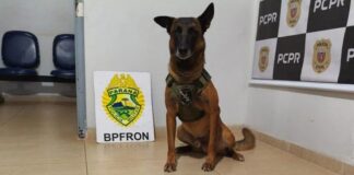 Polícia apreende drogas arma e munições durante abordagem no centro de Marechal Rondon