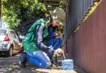 Primeiro LIRAa do ano aponta alto índice de infestação em Toledo
