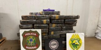Quase uma tonelada de maconha e comprimidos de ecstasy são encontrados em Santa Helena