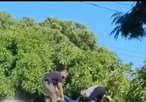Suspeito é baleado e cai de telhado durante ação policial em Medianeira