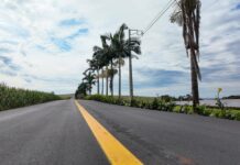 Com R$ 22,7 mi investidos em asfalto, Toledo aprimora a infraestrutura rural