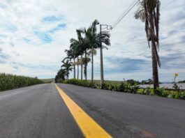 Com R$ 22,7 mi investidos em asfalto, Toledo aprimora a infraestrutura rural