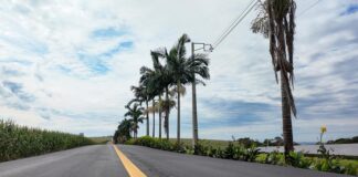 Com R$ 22,7 mi investidos em asfalto, Toledo aprimora a infraestrutura rural