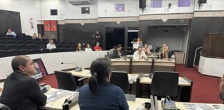 Com 29,41% do orçamento, Saúde de Toledo presta contas no Legislativo
