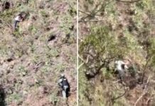 Mulher é socorrida após ser arremessada de penhasco pelo ex em BH