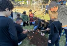 Ações de educação ambiental emocionam e mobilizam alunos no Coopagro