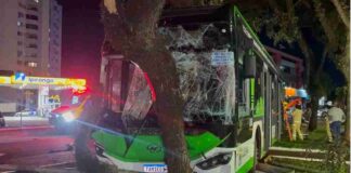 Batida entre ônibus do transporte coletivo termina com veículo sobre canteiro no Centro de Cascavel