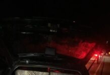 Carga de cigarros contrabandeados é apreendida durante operação em Terra Roxa