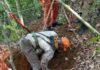 Corpo é encontrado em área de mata em Iracema do Oeste