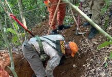 Corpo é encontrado em área de mata em Iracema do Oeste