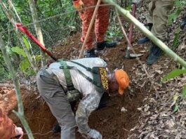 Corpo é encontrado em área de mata em Iracema do Oeste