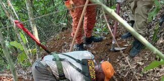 Corpo é encontrado em área de mata em Iracema do Oeste