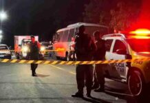 Crime brutal na região Oeste: Pai presencia assassinato do filho durante ataque violento