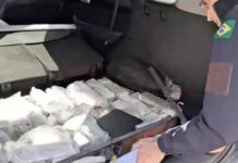 Durante atendimento de acidente, PRF apreende 212 quilos de maconha em Cascavel