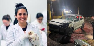 Estudante de veterinária morre atropelada em rodovia no interior do Paraná