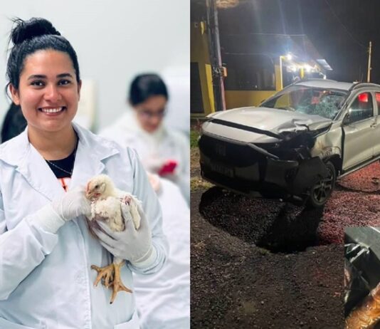 Estudante de veterinária morre atropelada em rodovia no interior do Paraná