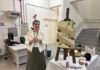 Exposição “Conexão” é lançada no Museu Willy Barth na programação do Junho Verde