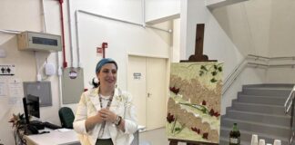 Exposição “Conexão” é lançada no Museu Willy Barth na programação do Junho Verde