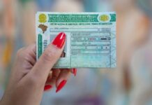 Governador sanciona lei que reduz em 55% valor dos exames de obtenção e renovação da CNH no Paraná