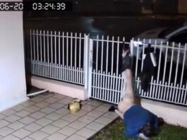 Homem fica preso em grade ao tentar invadir casa de idosos em Tenente Portela