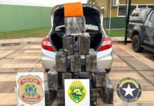 Homem tenta fugir pulando de balsa, mas é preso com 288 quilos de maconha e carro roubado em Terra Roxa