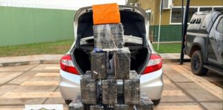 Homem tenta fugir pulando de balsa, mas é preso com 288 quilos de maconha e carro roubado em Terra Roxa