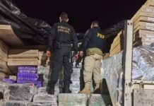 Mais de uma tonelada de drogas é apreendida e prisões são efetuadas em operações no Paraná