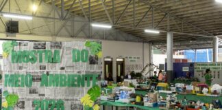 Mostra do Meio Ambiente na Escola Shirley Lorandi é aberta à comunidade