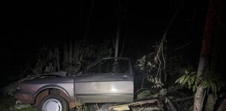 Motorista fica ferido após saída de pista na PR-585 em São Pedro do Iguaçu