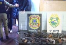 Mulheres são detidas na rodoviária de Cascavel transportando 15 armas de fogo presas ao corpo