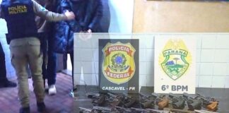 Mulheres são detidas na rodoviária de Cascavel transportando 15 armas de fogo presas ao corpo