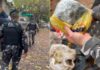 Operação OMNIS prende quatro suspeitos e apreende drogas, arma caseira e dinheiro no Centro de Cascavel