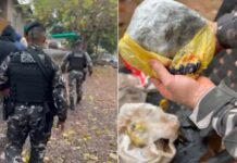 Operação OMNIS prende quatro suspeitos e apreende drogas, arma caseira e dinheiro no Centro de Cascavel